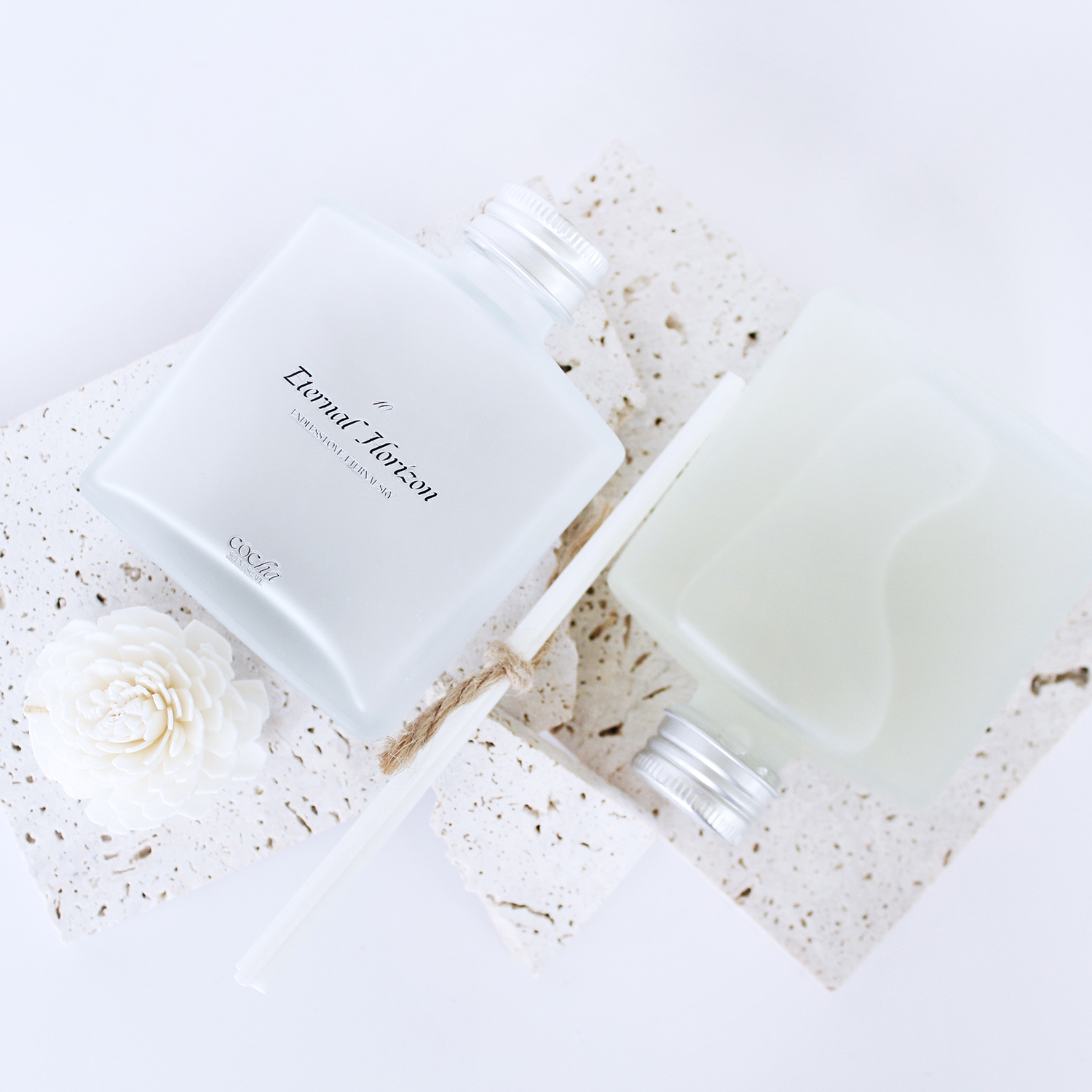 10永恆天際<br> Eternal Horizon:圖片 2