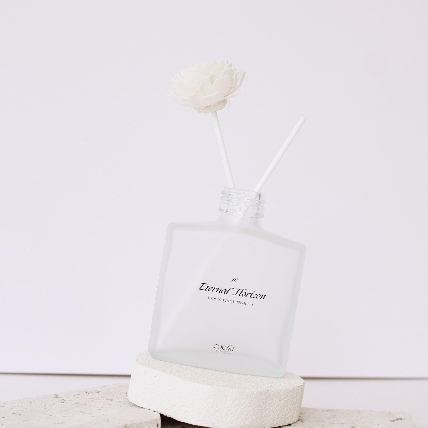 10永恆天際<br> Eternal Horizon:圖片 3