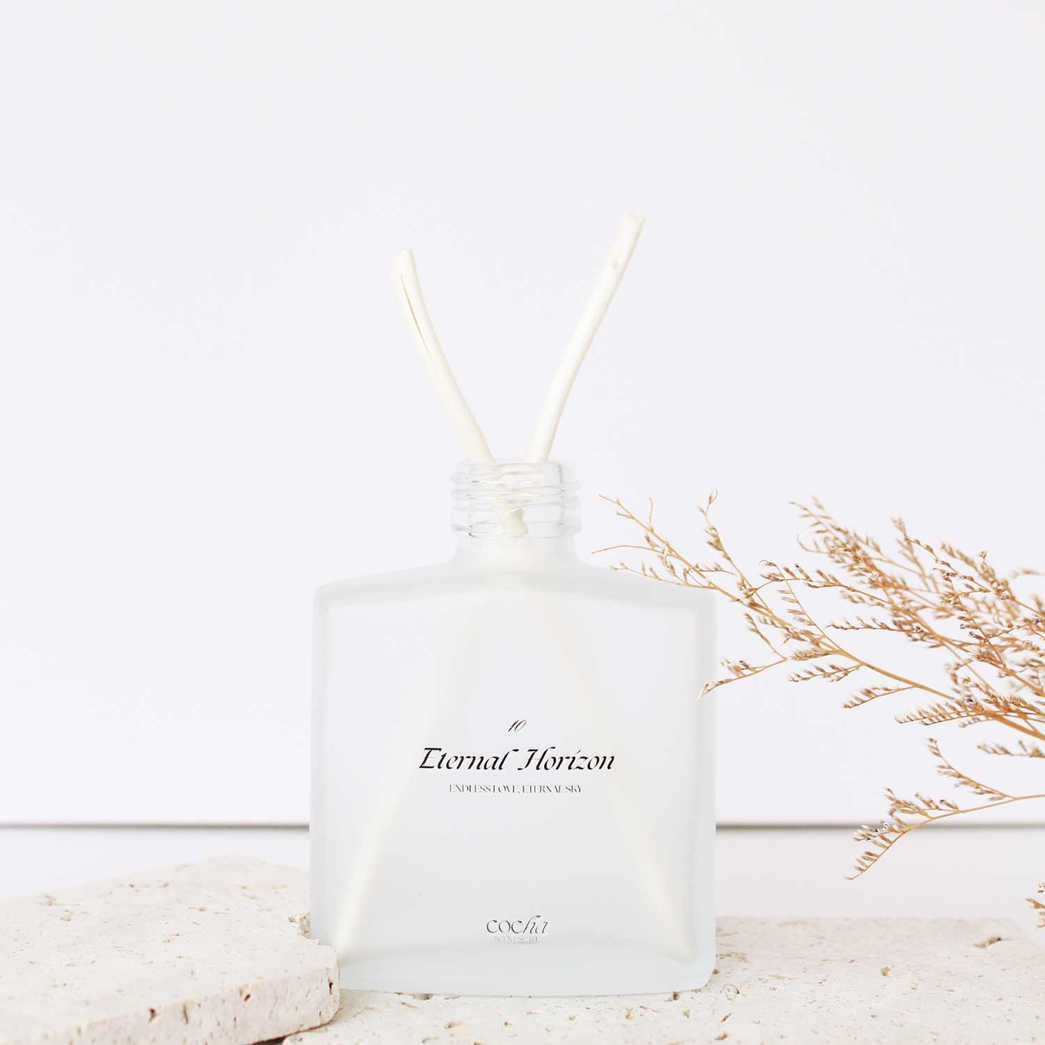 10永恆天際<br> Eternal Horizon:圖片 4